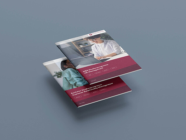 dhaw_info-pdf_bachelor_mba_mockup_01
