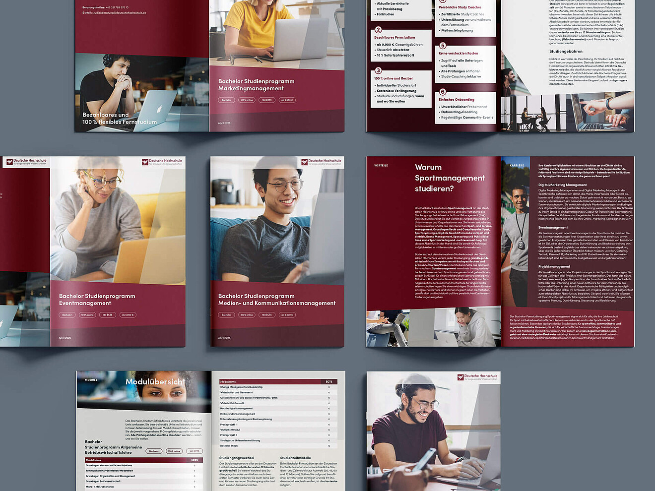 dhaw_info-pdf_bachelor_mockup_03